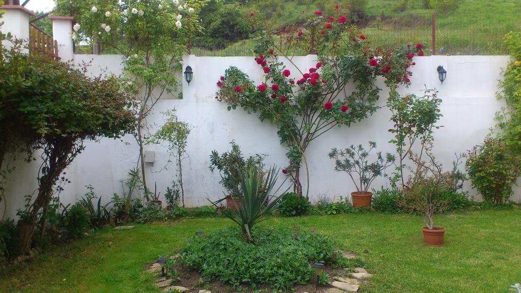 Petrovi Guest House Obzor Exterior foto